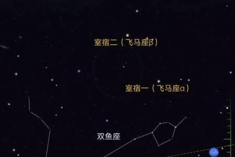 11月11什么星座