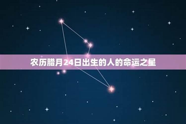 农历冬月是什么星座