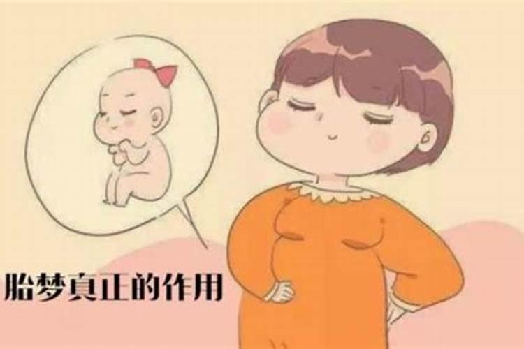 怀孕前的胎梦