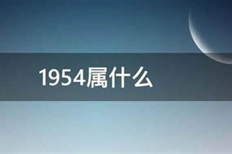 1954属什么