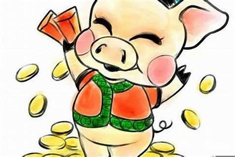 生肖猪的今年财富运势