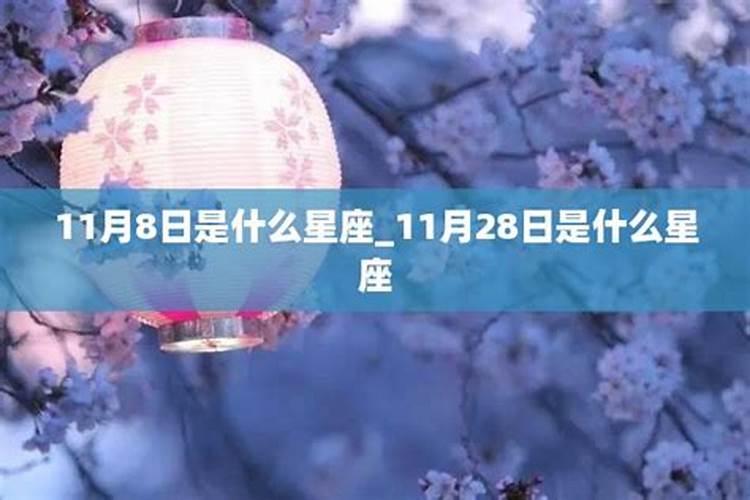 11月29号什么星座