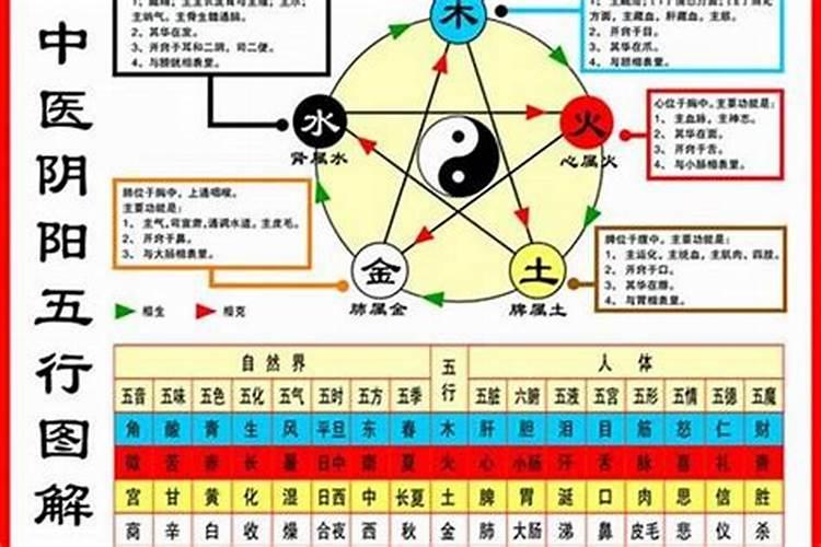 我是五行中的什么命