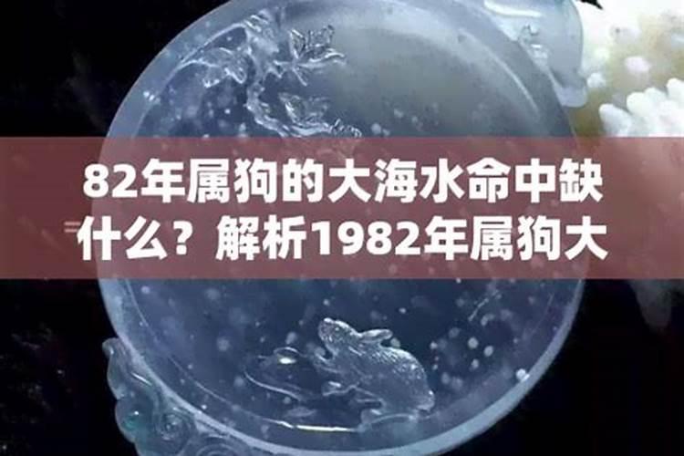 82年属狗大海水命一生命运