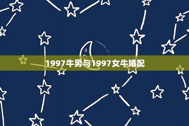 97年牛男与97年牛女的婚姻相配吗