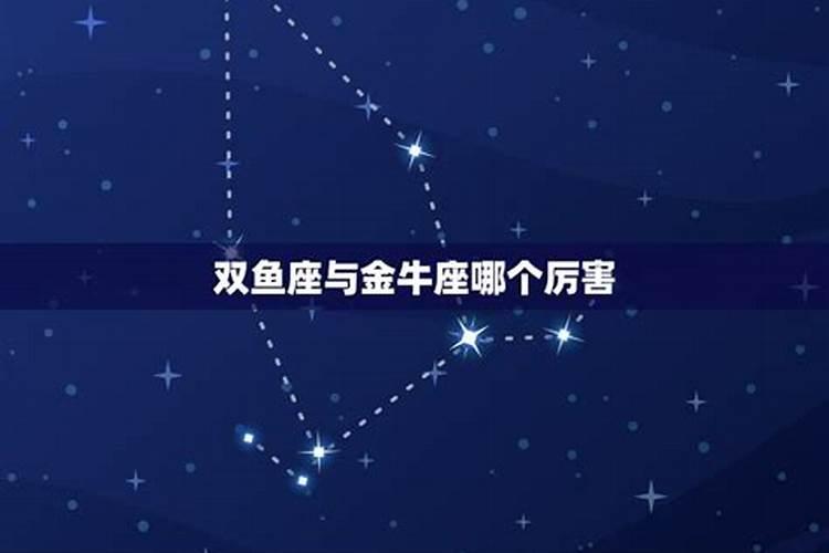 八月二十号是什么星座的