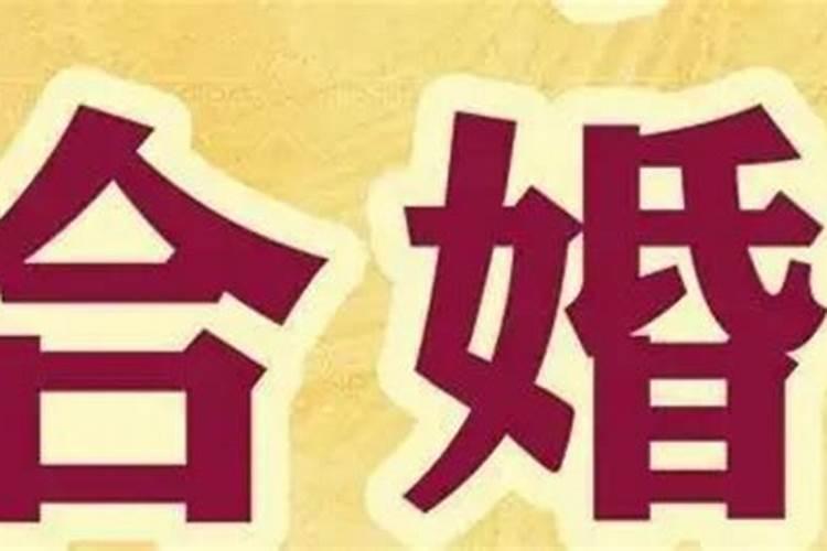 八字怎么样才算合婚