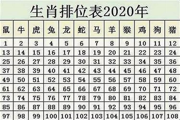 2024年是什么生肖年什么命