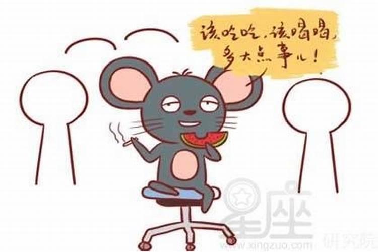 属鼠人性格优点缺点