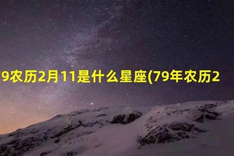 1月19什么星座