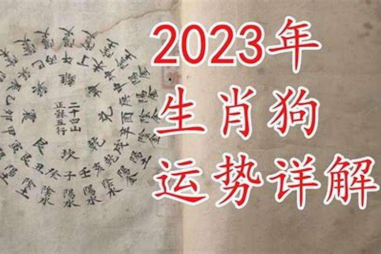 2023年生肖狗运势详解