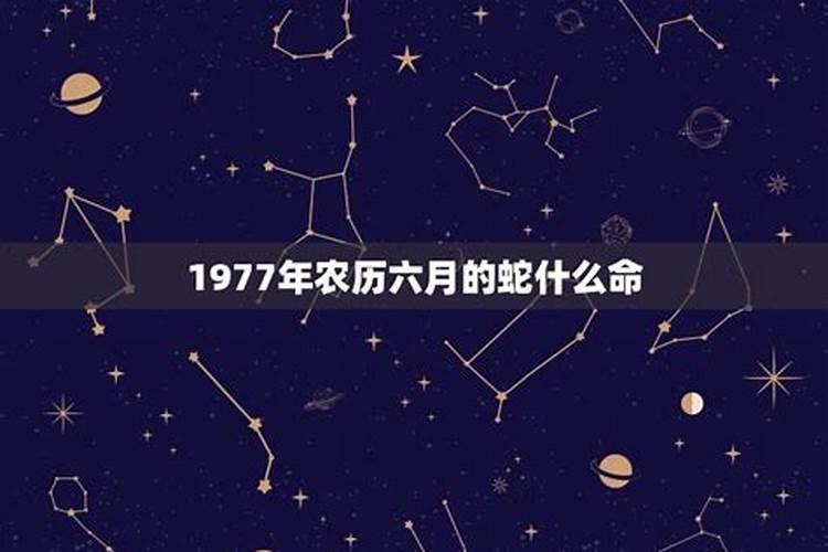 1989年是什么星座