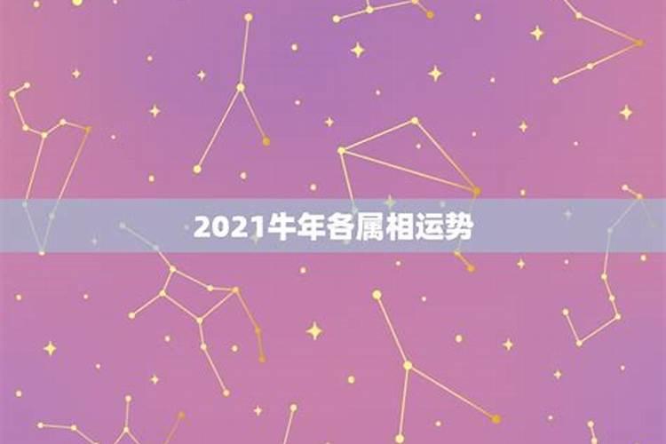 兔人牛年运势2021