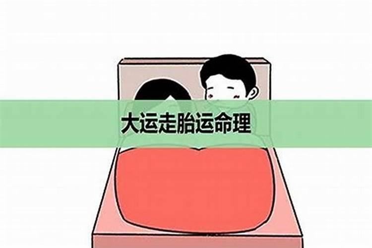 胎运是什么意思算命