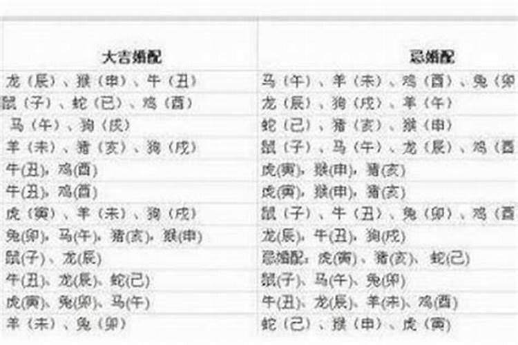 1982年的狗是什么五行