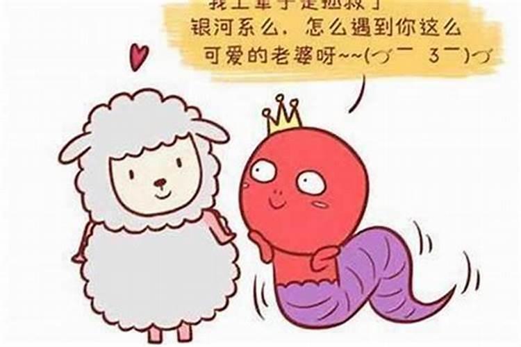 属羊男爱老婆还是情人深爱的女人类型