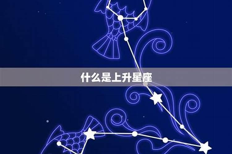 双鱼座的上升星座是什么