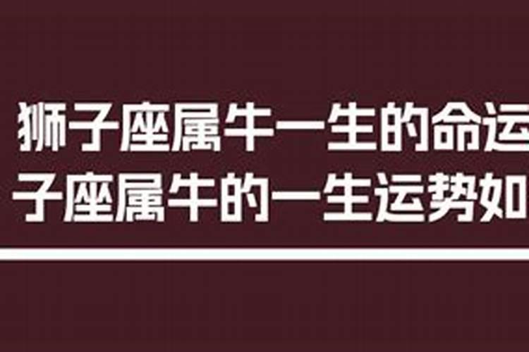 狮子座属牛的人