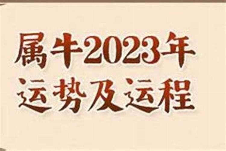 2023年属马的贵人和小人