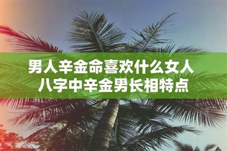 八字中辛金男的人生命运