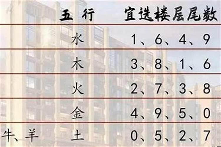 属猪人住楼房几层最好