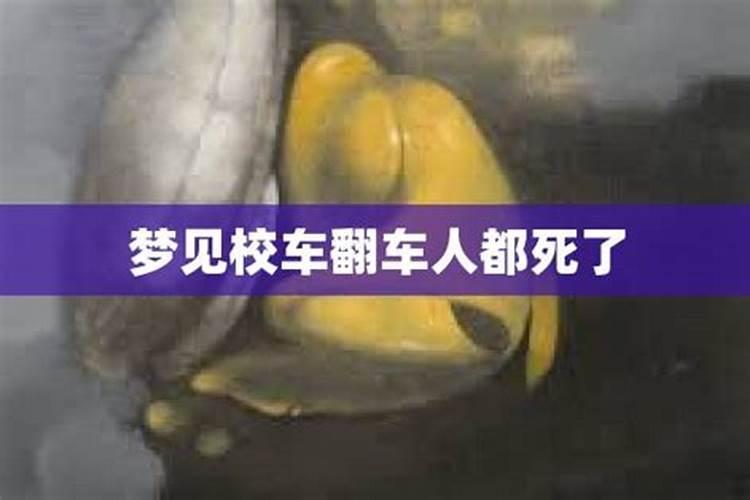 梦到翻车死人了啥意思啊周公解梦女人怀孕了