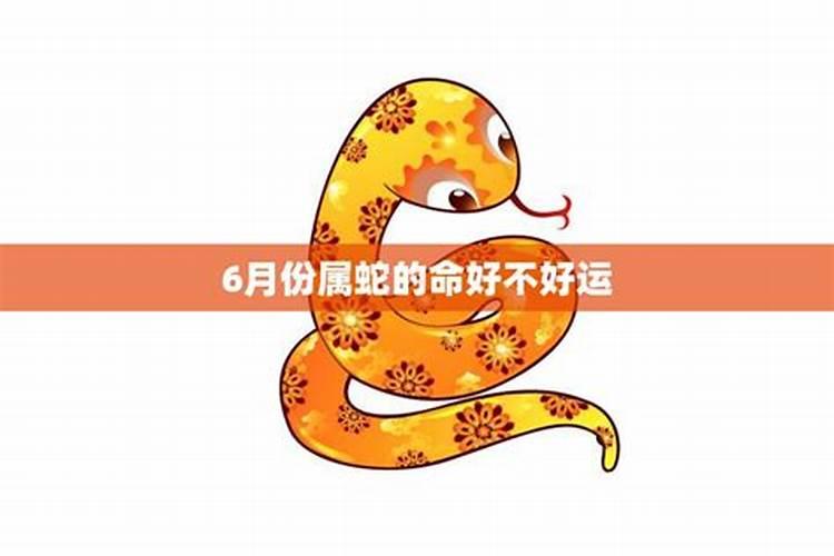 属蛇人6月份财运如何