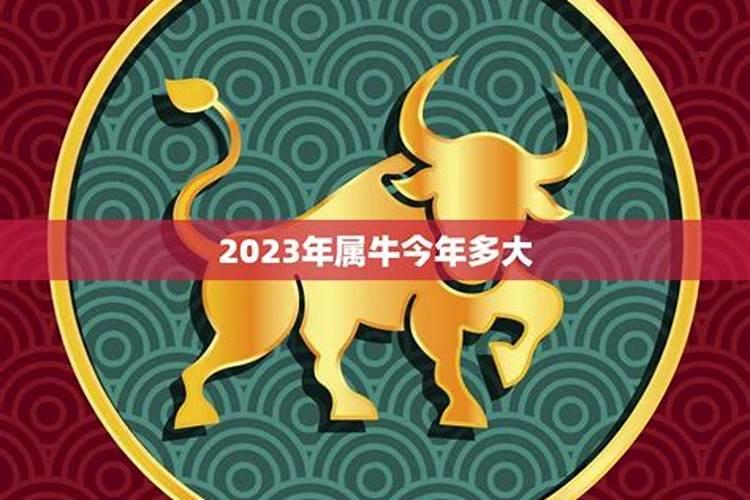 属牛今年年纪