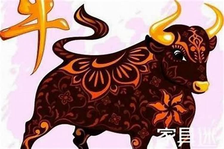 属牛的今年运气好