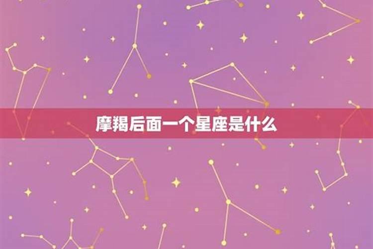 摩羯后面是啥星座