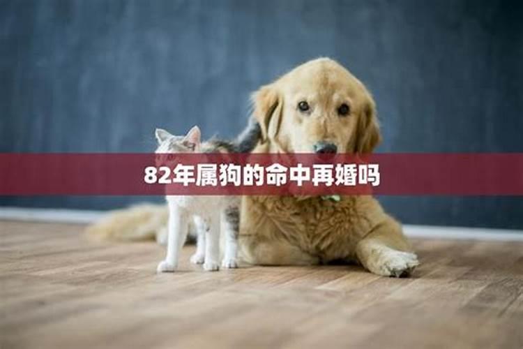 属狗82年2021年能离婚吗