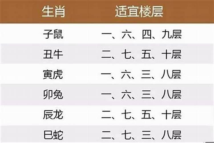 十二生肖住什么楼层