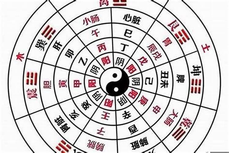 八字阴阳五行的知识有哪些