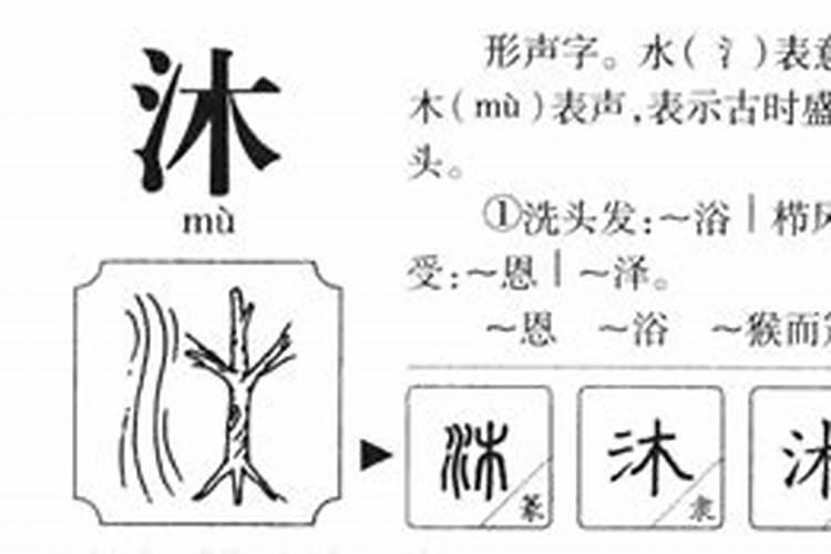 2020重阳节开什么生肖