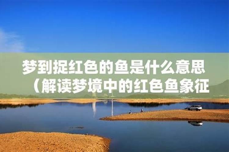 梦到捉鱼是什么寓意