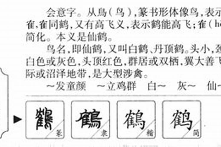 鹤字五行属什么