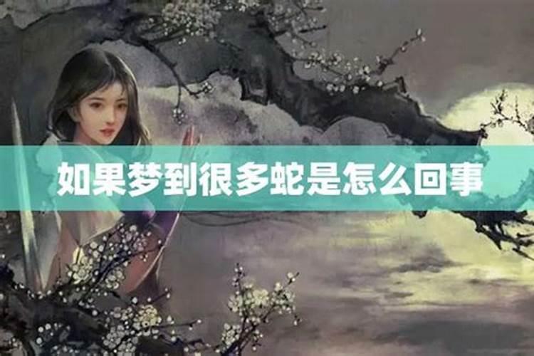 梦到娘家里有蛇是怎么回事呢