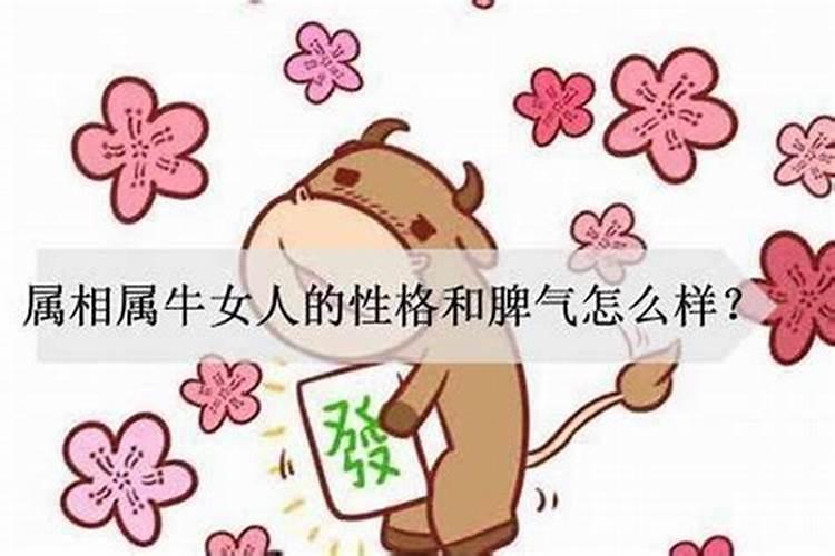 美女找老公是什么生肖