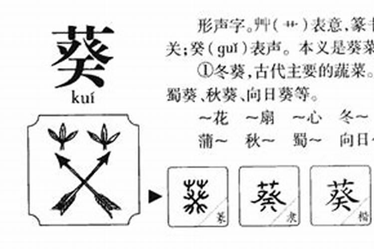 葵五行属什么