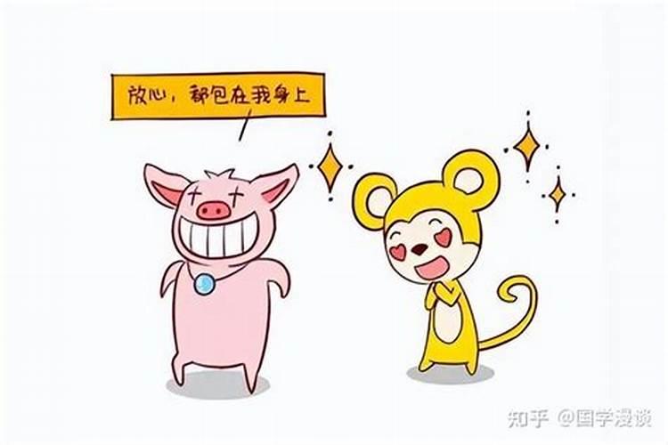 生肖猪性格优缺点,属猪性格优缺点