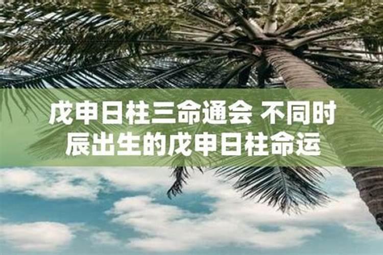 戊申时是几点到几点