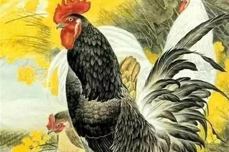 2017年的鸡是什么命五行属