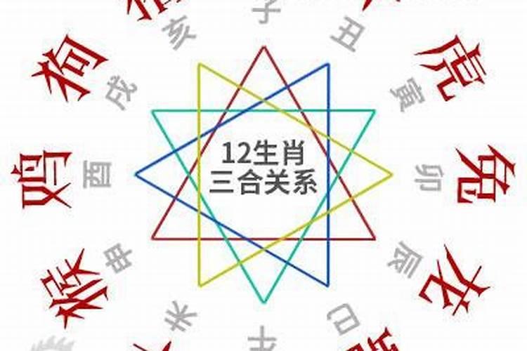 生肖与虎6合的属相