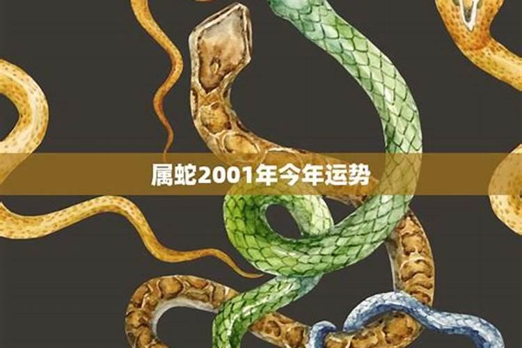 蛇年今年运势2022