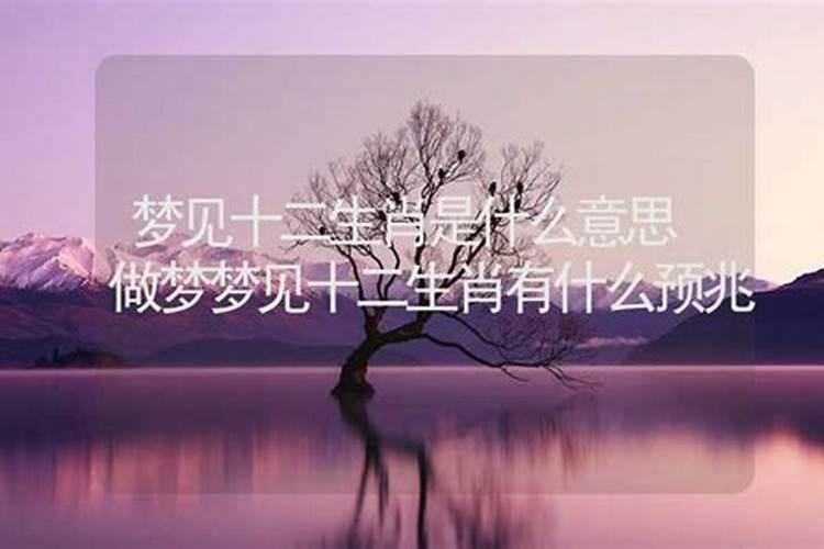 梦是什么生肖