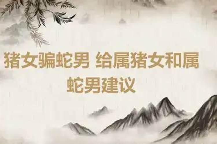 猴和虎宝宝的属相合不合