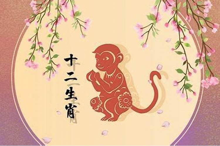 猴和虎宝宝的属相合不合财