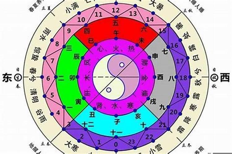 生肖蛇1953年的晚年运气好不好