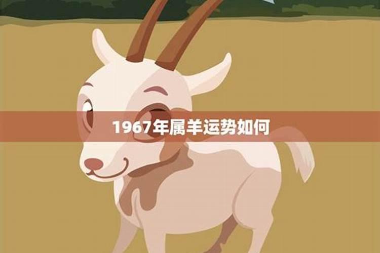 1967年属羊的命运如何呢