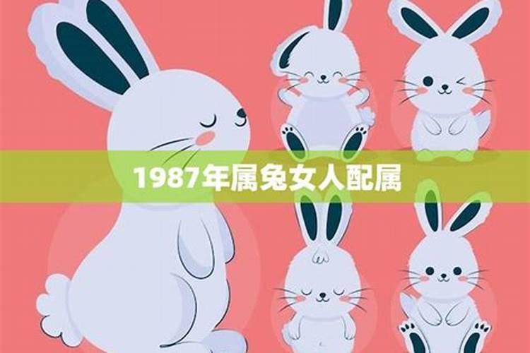 1987年属兔女的婚姻状况是什么